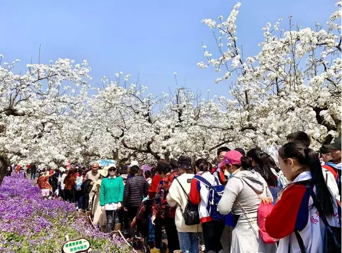 持之以恒規(guī)范旅游市場秩序，堅定不移維護良好旅游形象(圖3)