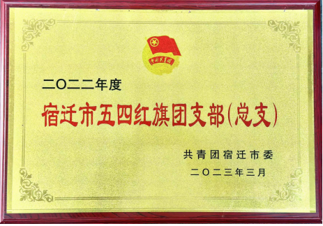 喜報(bào)！宿遷文旅集團(tuán)共青團(tuán)工作榮獲多項(xiàng)榮譽(yù)(圖3)
