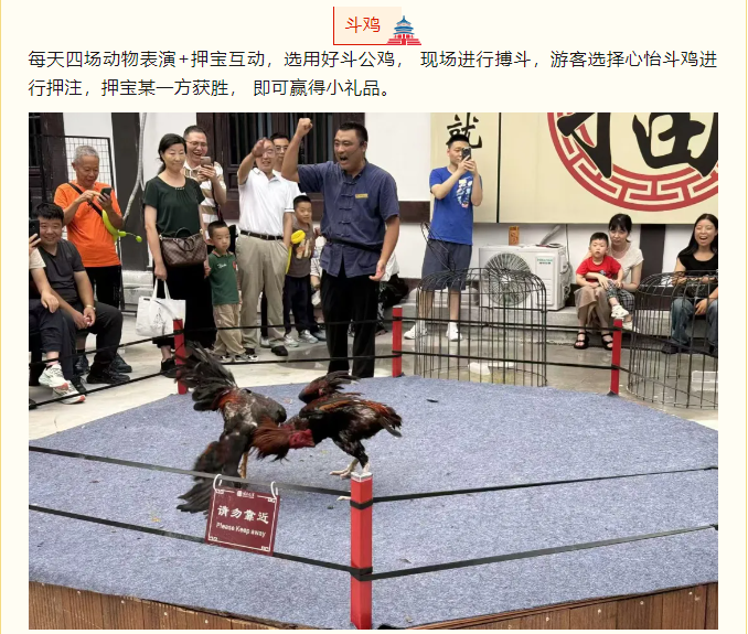 國慶文旅嘉年華，嗨翻假期樂不停！(圖4)