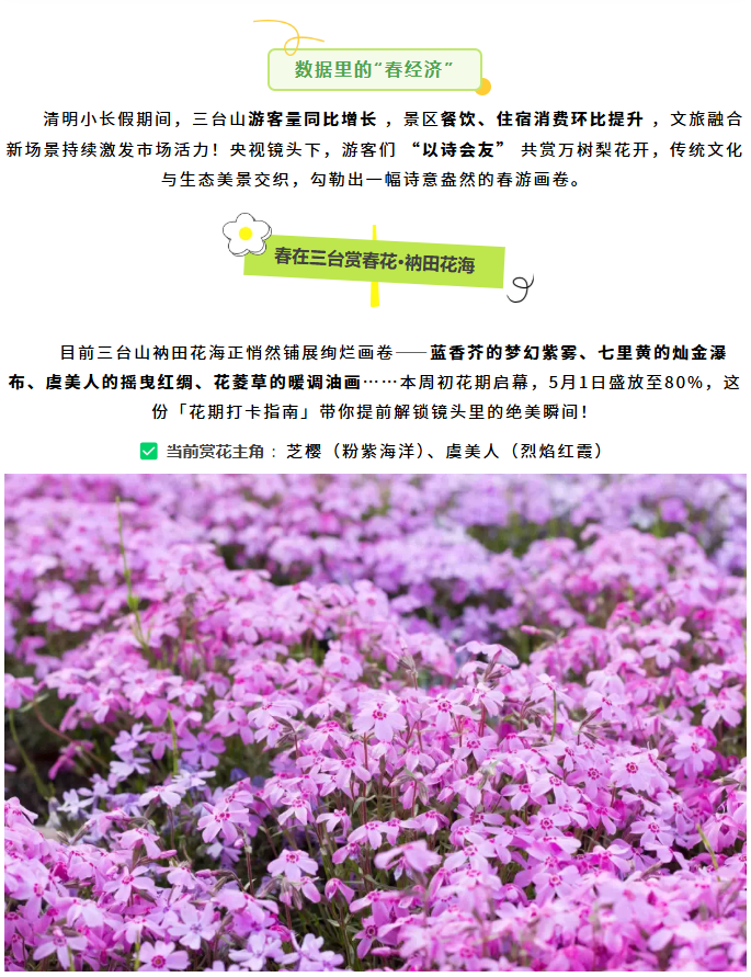 三臺(tái)山榮登央視報(bào)道！萬(wàn)樹(shù)繁花引客來(lái)，數(shù)據(jù)見(jiàn)證經(jīng)濟(jì)向好(圖2)