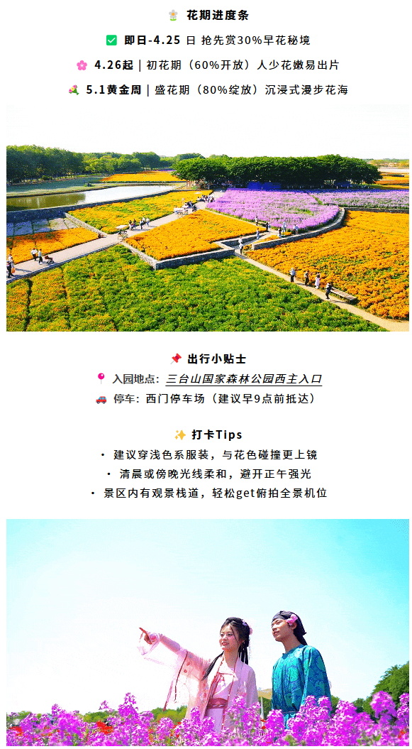 三臺(tái)山榮登央視報(bào)道！萬(wàn)樹(shù)繁花引客來(lái)，數(shù)據(jù)見(jiàn)證經(jīng)濟(jì)向好(圖4)