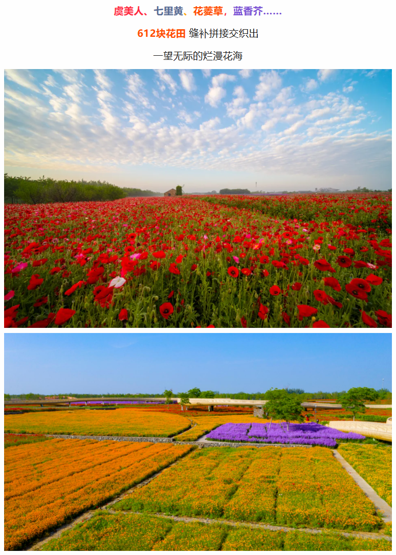三臺(tái)山五一賞花季活動(dòng)預(yù)告來(lái)啦！2220畝寶藏花海等你來(lái)撩！(圖3)